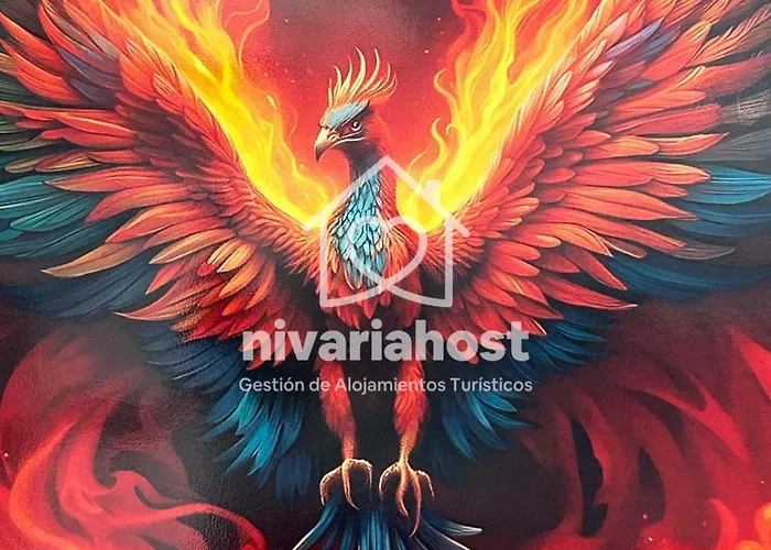 Ave Fenix San Isidro, By Nivariahost San Isidro (Tenerife)