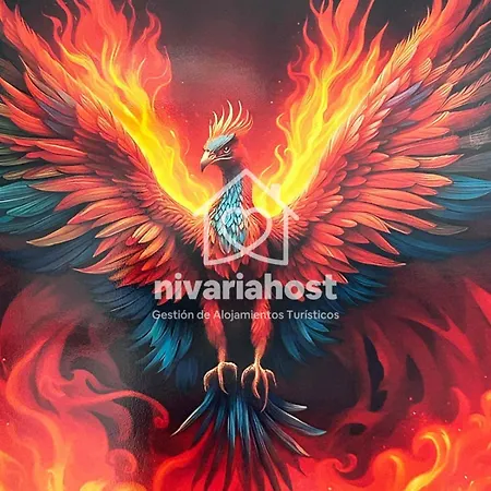 Ave Fenix San Isidro, By Nivariahost 圣伊西德罗