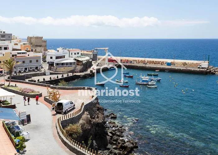 Ave Fenix San Isidro, By Nivariahost San Isidro (Tenerife)