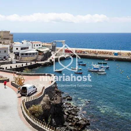 Ave Fénix San Isidro, By Nivariahost San Isidro (Tenerife)